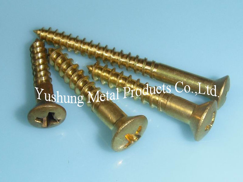 Brass Wood Screws Phillips Oval Head